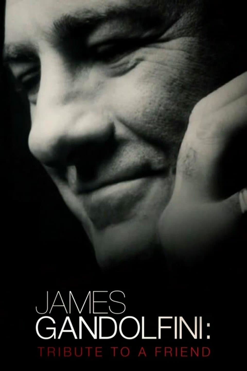 Постер James Gandolfini: Tribute to a Friend